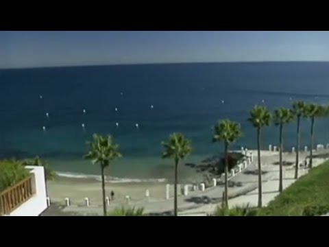 Magnetic Family - Fantasy Island