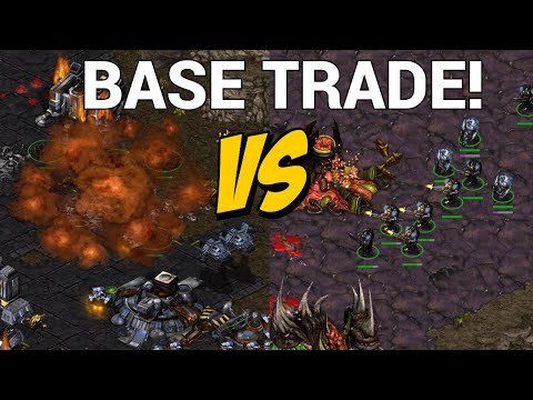 StarCraft 1: ABSOLUTE MAYHEM - Organ vs Spire | CNSL 6