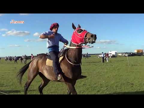 Carreras de Caballos Piedra Sola 06-11-22