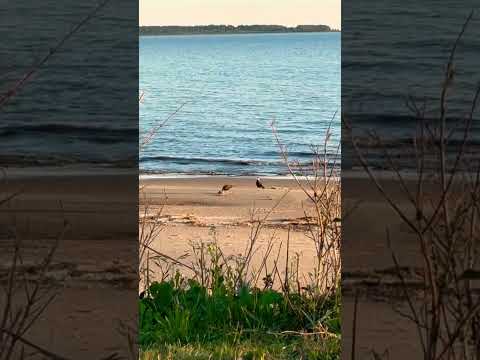 Playa Pascual San José Uruguay