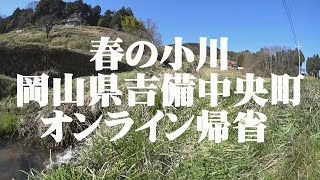 オンライン帰省　潜水！　春の小川　里山　岡山県吉備中央町　矢野川