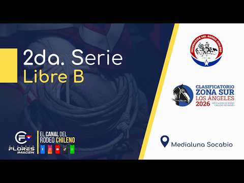 2DA. SERIE LIBRE B - CLASIFICATORIO ZONA SUR - LOS ANGELES 2026