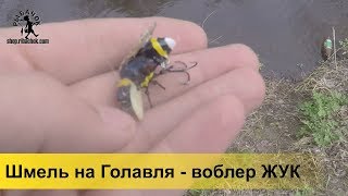 Ссылка
