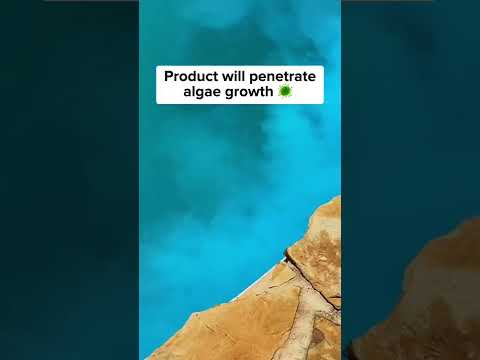 Quick fix for green pools 🦠 #shorts