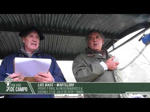 Luis Biaus -  Pedro y Raúl Alonso Ganados S.A -Viernes 27 de julio de 2018 - Tandil