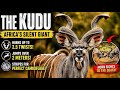 The Kudu: Africa’s Silent Giant With INSANE Powers 😳