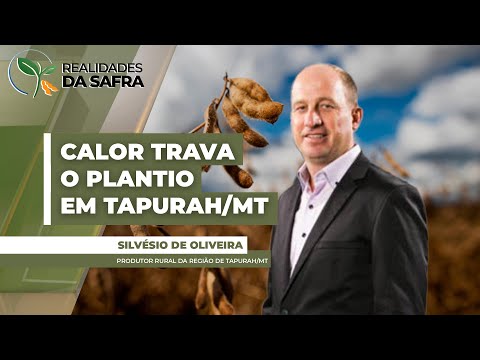 Temperaturas elevadas atrasam o andamento do plantio da soja em Tapurah/MT