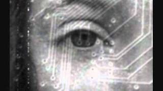 Velvet Acid Christ - Ghost In The Circuit