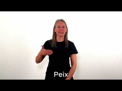 Peix - LSC