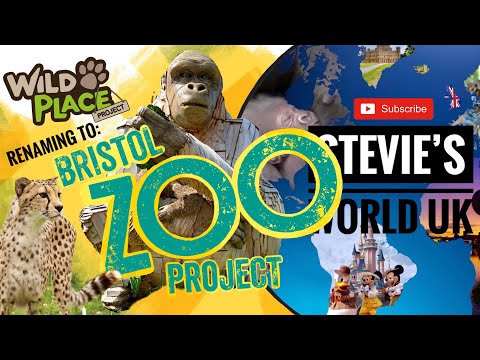 THE WILD PLACE PROJECT NAME CHANGE & WHAT WILL HAPPEN TO BRISTOL ZOO’S WESTERN LOWLAND GORILLA’S