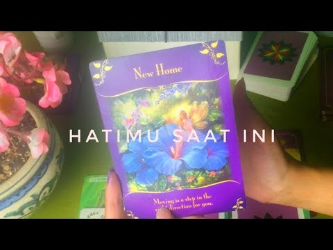 20 kontol kecil Mare untuk potensi