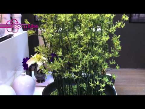 Mobach Ceramics Flower exhibition by Krijn Verboom