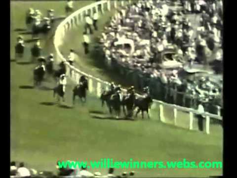 willie winner SHERGAR 1981 DERBY EPSOM HORSE RACING
