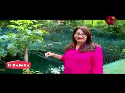 Haritha bio park in kairali tv flowers of india