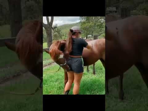 âž¤ Masterbate A Horse â¤ï¸ Video.Kingxxx.Pro