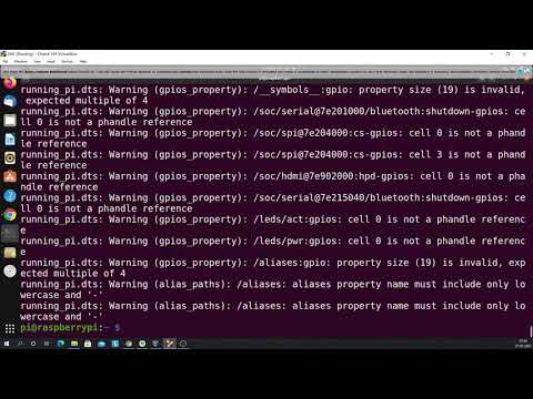 Device Tree Source (DTS) from Running Raspberry Pi