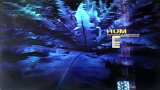 Hum- The Scientists (HD)