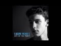 Shawn Mendes - Life Of The Party 