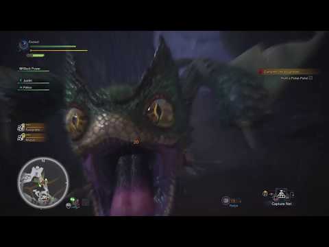 Monster Hunter: World Urgent Pukei-Pukei Hunt : How to Kill Guide/Walkthrough