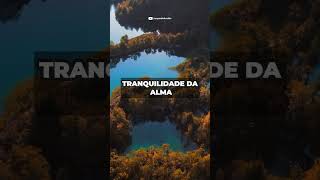 Encontre Paz Interior com Sêneca | Ouça o Audiobook Completo no MyAudiobookBR 🎧📚