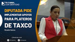 Diputada pide implementar apoyos para plateros de Taxco