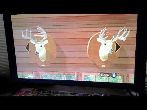 CABELA'S THE HUNT CHAMPIONSHIP EDITION (NINTENDO SWITCH GAMEPLAY) TMAN'S KING OF BUCKS DISPLAY