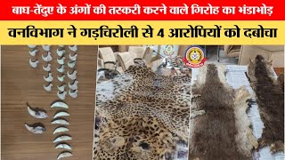 🔴Live News बाघ तेदुओं के अंगो की तस्करी करने वाले गिरोह का भंडाफोड़