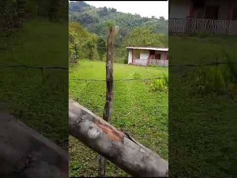 Fincas y Casas Campestres, Venta, Dagua - $700.000.000