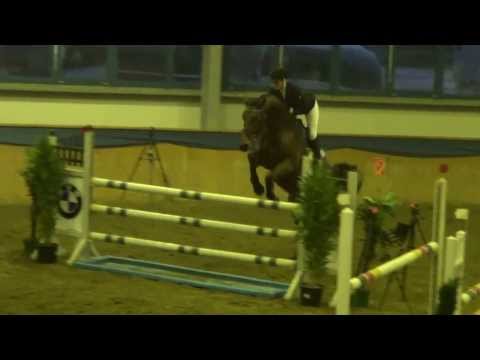 5yo holsteiner gelding, New Quidam (Newton x Quidam de R.) x Clearway