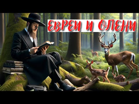 Восемь «еврейских» фактов об оленях