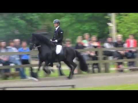 Kronshof 2013 - Moli frá Skriðu - V1 - isibless