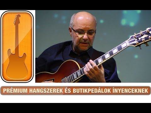 SelectGuitars 2017 - László Attila Rig interjú