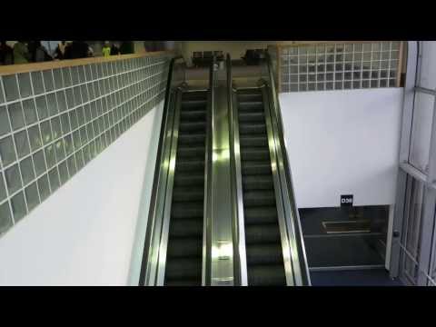 Vintage 1959 Montgomery Escalators in Miami Dade International Airport Concourse D