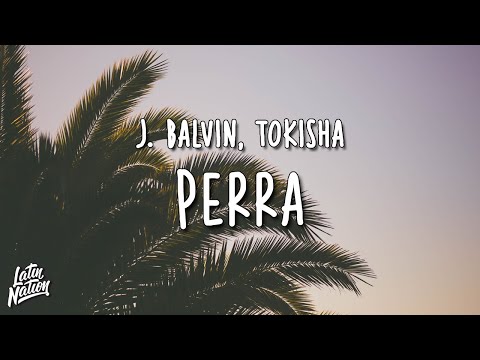 J. Balvin, Tokischa - Perra (Lyrics/Letra)