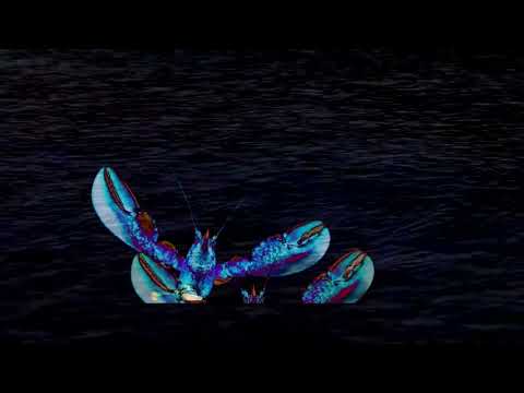 Music Mix by Lobster - Volume 11