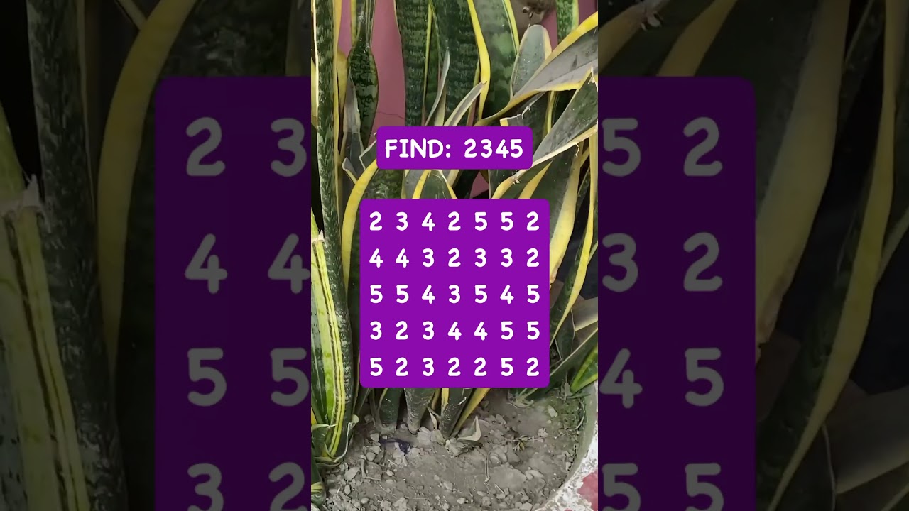 Observation Visual Test: 5 Seconds For You To Spot 2345 . Try Your Skills!  #search #puzzle #shorts