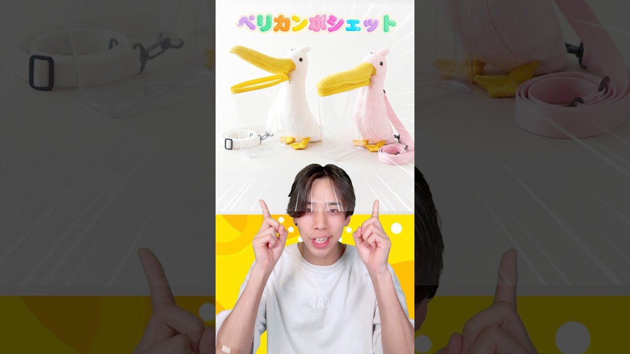 ラウンドワンで可愛いポーチがUFOキャッチャーになりました！