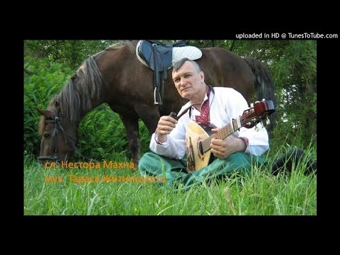 "Ой, ти батьку степ широкий" Тарас Житинський