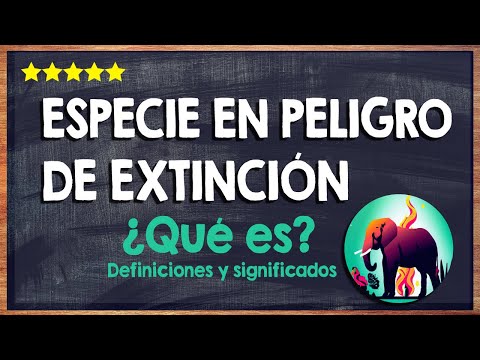 🙏 ¿Qué es una especie en peligro de extinción? - Conoce el riesgo de eliminar especies 🙏