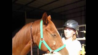 Should&#39;ve Known Better