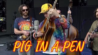 Billy Strings "Pig In A Pen" 08-01-25 San Francisco, Ca