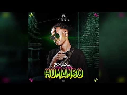 Tshaka ft Ti Gonzi - Hamutigone (Prod by Afrow Zenda)