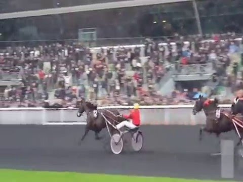 Bold Eagle s'envole à 15 jours du Prix d'Amérique