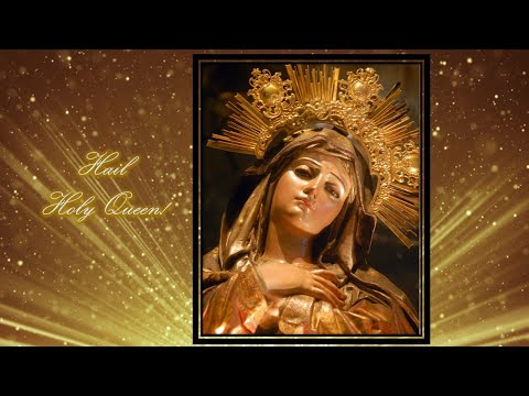 All 4 Mysteries FOL & Divine Will Rosaries