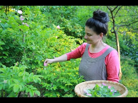 download lagu mp3 mp4 Foraging Feasting, download lagu Foraging Feasting gratis, unduh video klip Foraging Feasting