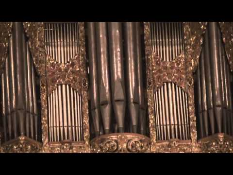 Organ Concert