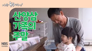 [나는농부다 252회] 산양삼 가족의 주말