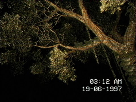 Lastri - Unreal Engine Short Film