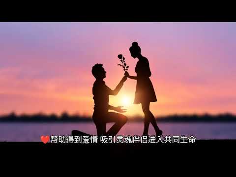 鬱金香熱情靈氣