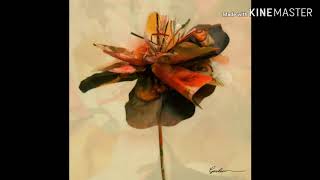 광고X[Audio]페노메코[PENOMECO] 가사 No.5(feat.크러쉬) 1시간 반복재생 penomeco no.5 넘버파이브 크러쉬